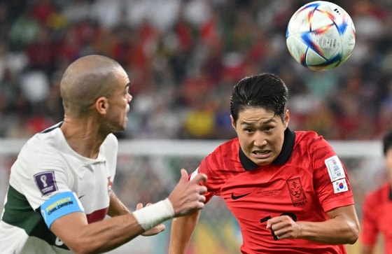 Фото: The Telegraph