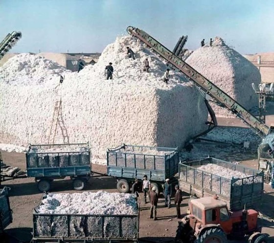 SSSR vaqtidagi paxta terish punktlaridan biri. 1980-yil