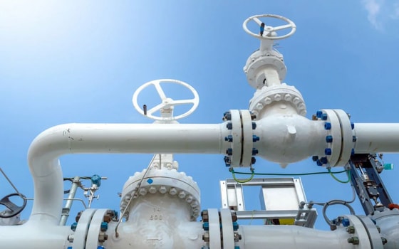 Фото:&nbsp;aussiedlerbote