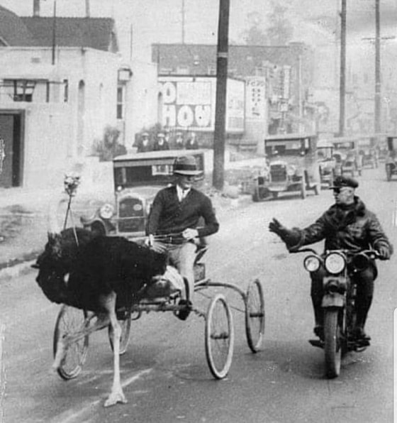 1930-yillarda Los-Anjelesdagi "noyob" jamoat transporti