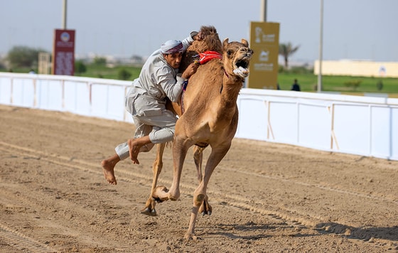 Tuyada o'naladigan gandbol, Qatar&nbsp; &nbsp; Foto: Getty Images