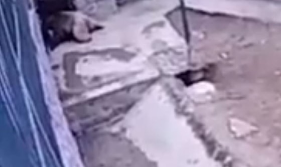 Кадр из видео