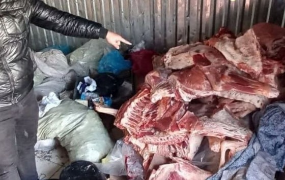 Фото: Департамент при Генпрокуратуре