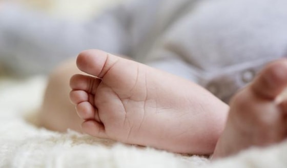 Foto: www.huaglad.com