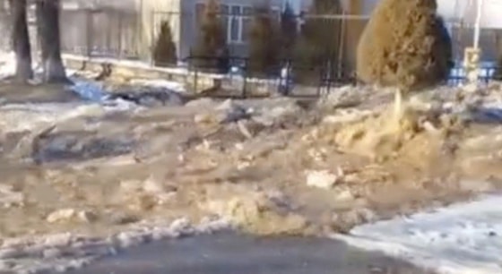 Foto: Ijtimoiy tarmoqlar