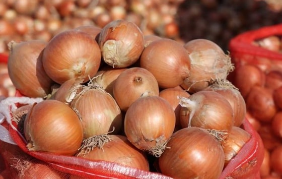 Фото: Минсельхоз