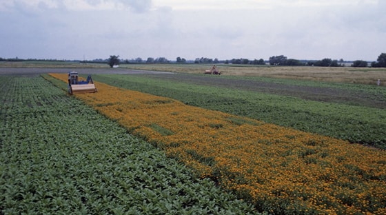 Фото: Открытые источники