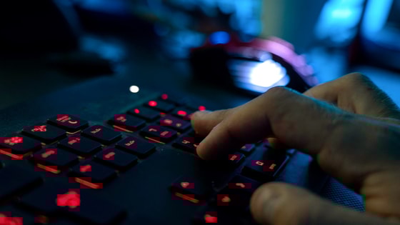 Фото: Открытые источники