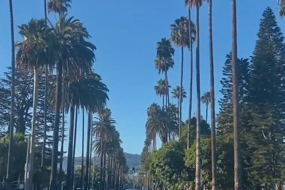 Лас-Вегас&nbsp;