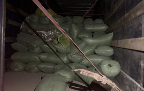 Фото:&nbsp;Kaktusmedia