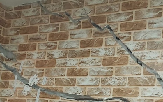 Фото: Shopirlar / Telegram