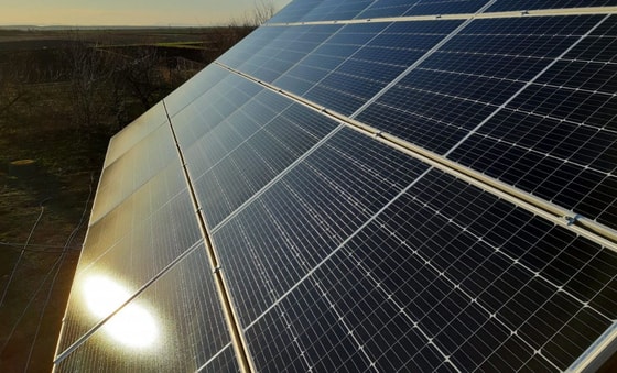 Ситуативное фото / Открытые источники