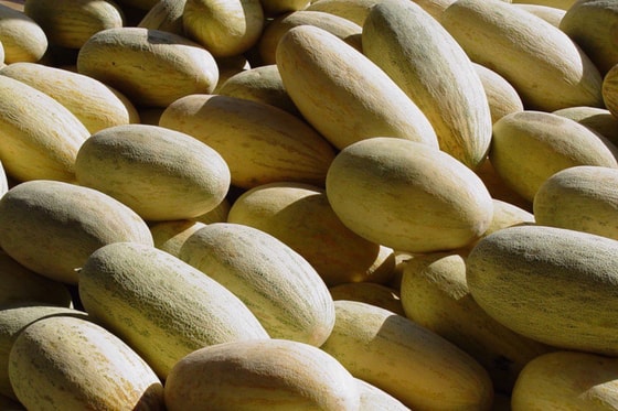 Фото:&nbsp;открытый источник