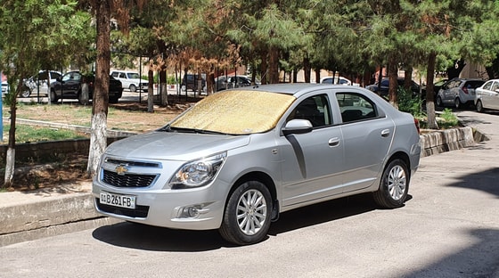 Фото: Автострада