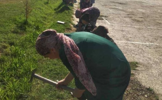 Фото: t.me/muxbir1