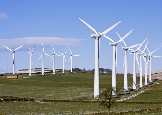 Ситуативное фото /&nbsp;ortcom.kz