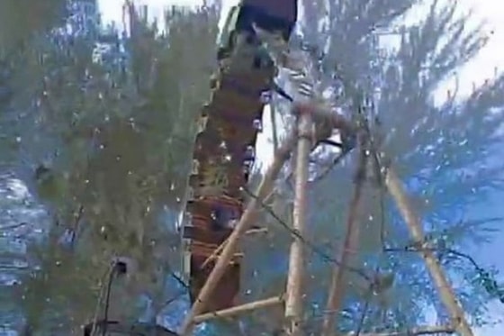 Фото: УВД Ферганской области