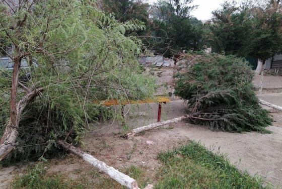 Фото: Экопартия