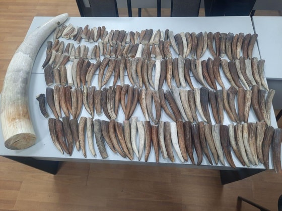 Фото: Государственный налоговый комитет