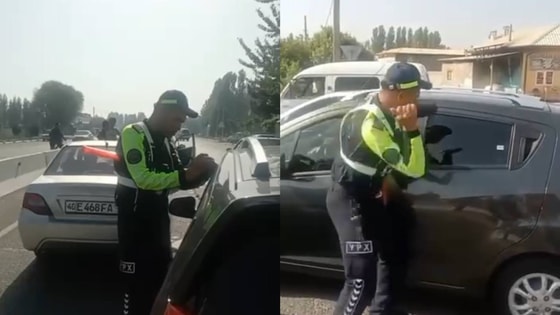 Кадры из видео