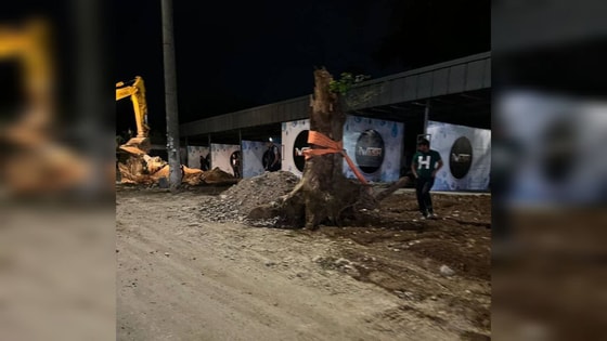 Фото:&nbsp;t.me/ekologuz