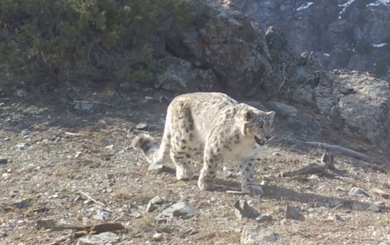 Кадр из видео