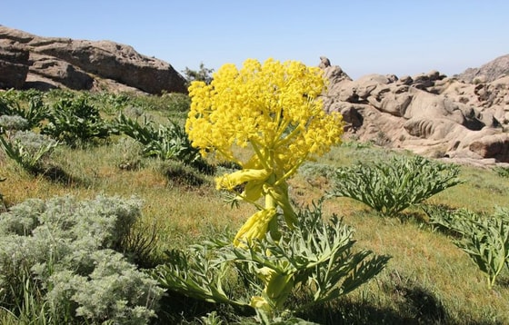 Фото: Минприроды