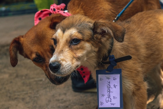 Фото: Авакян Маргарита / Repost.uz
