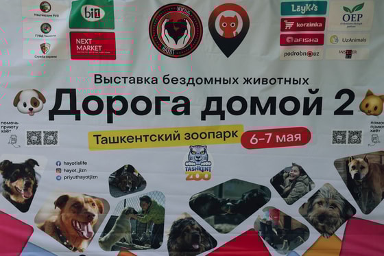 Фото: Авакян Маргарита / Repost.uz