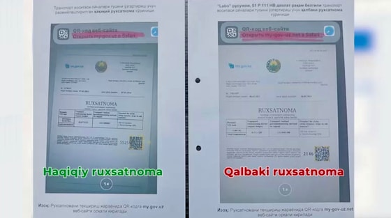 Кадр из видео