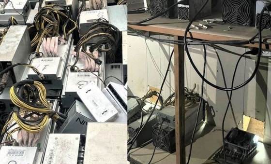 Фото: Департамент при Генпрокуратуре