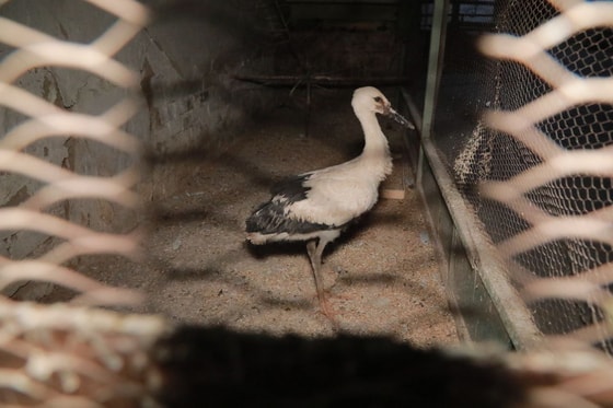 Фото: Минприроды