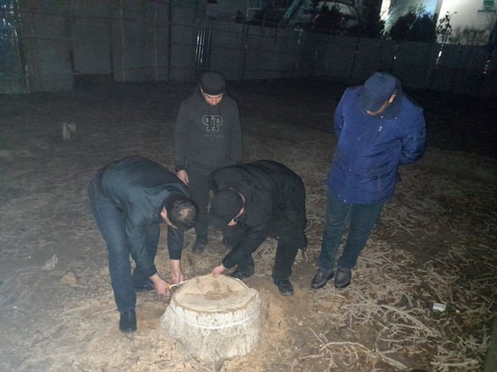 Фото: Бухарское областное управление экологии