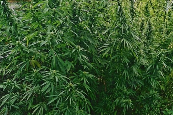 Ситуативное фото /&nbsp;mvdmedia.ru