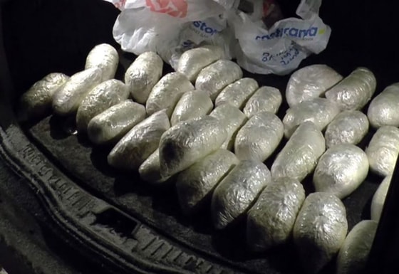 Фото:&nbsp;zebra-tv.ru