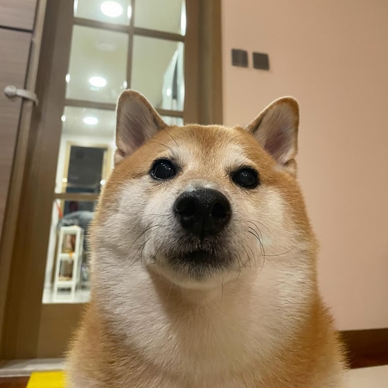 Фото: Открытые источники