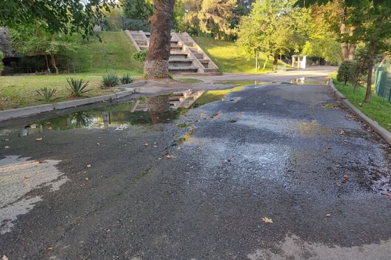 Ташкент, Яккасарайский район. Фото: Repost.uz