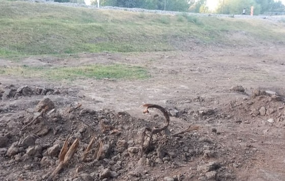 Фото: Минэкологии