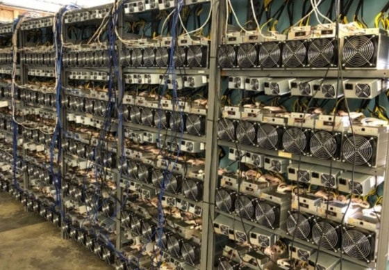 Фото: Открытые источники