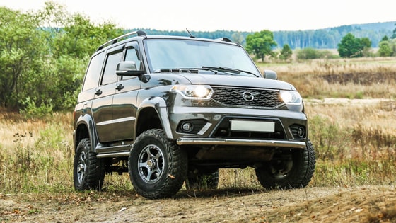 Фото:&nbsp;Shutterstock.com