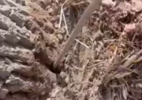 Кадр из видео