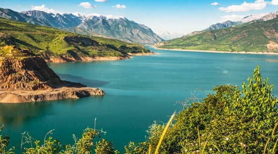 Фото: Открытые источники