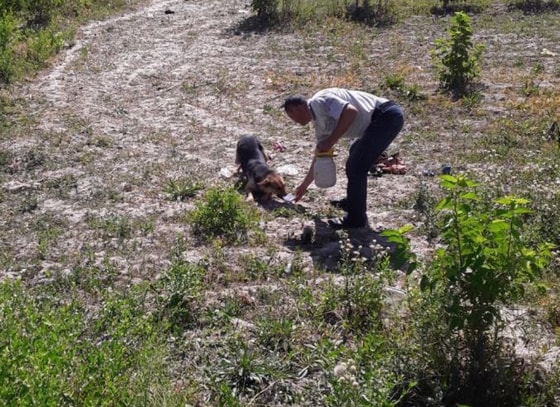 Фото:&nbsp;t.me/Hazorasp_hokimligi