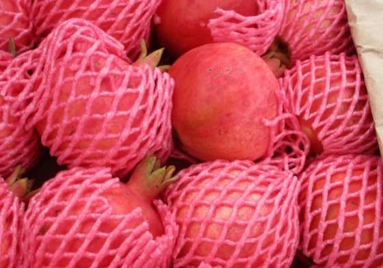 Фото: Россельхознадзор