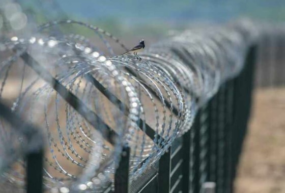 Фото: Открытые источники