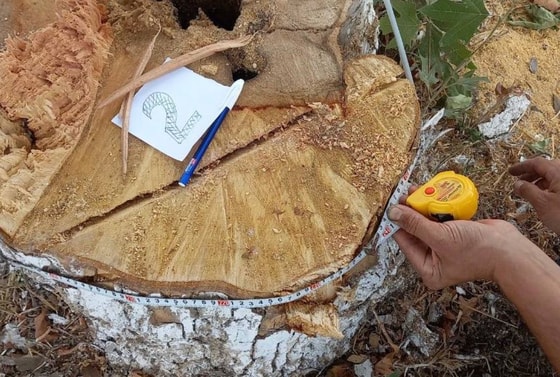 Фото: Минэкологии