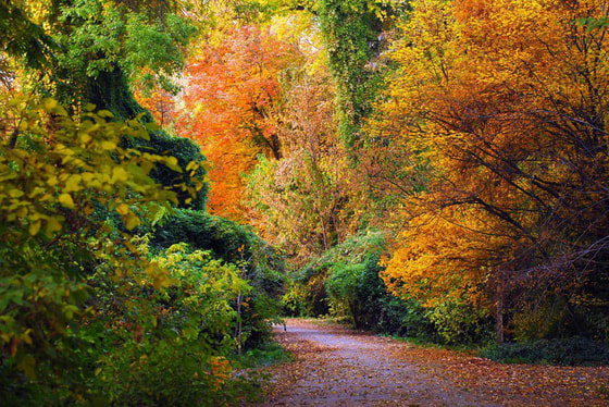 Фото: Экопартия