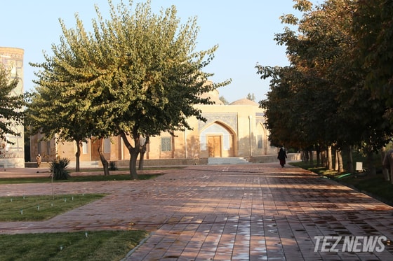 Ситуативное фото / Teznews