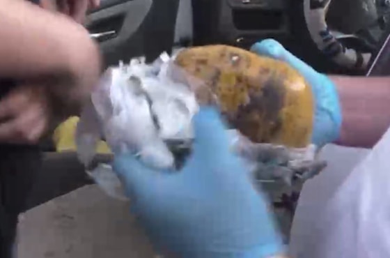 Кадр из видео