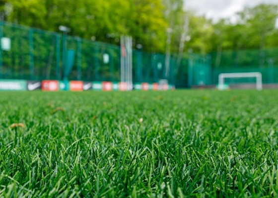 Фото: Открытые источники